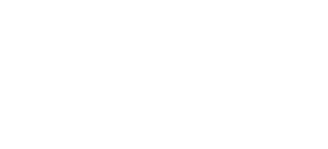 wsos-2022-logo
